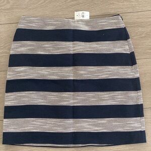 Ann Taylor Navy and Gray Striped Pencil Skirt